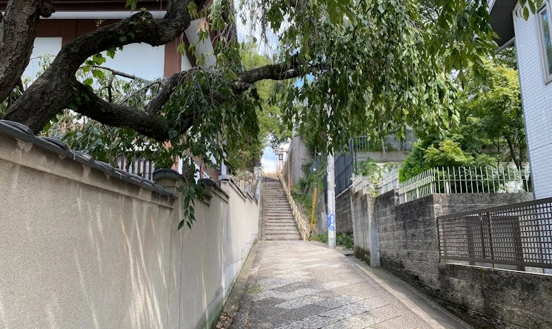 „Ти трябва да си изкарваш сама парите за жилище, а не да чакаш подаяния от майка си“ – Историята на едно българско семейство