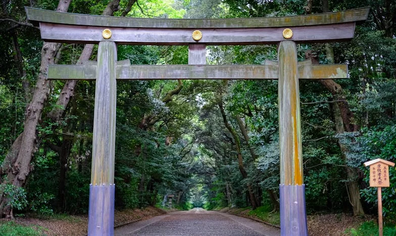 Живот до свекървата: Как един апартамент в Люлин едва не разруши семейството ми