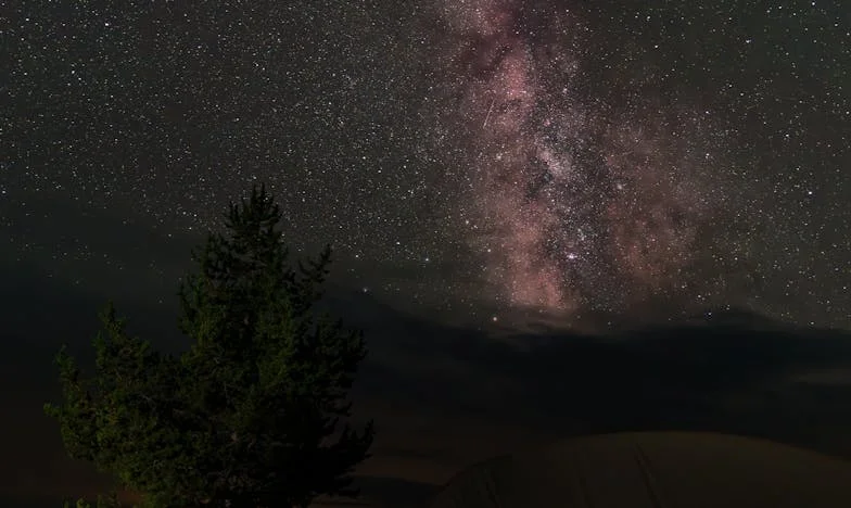 Бабината гордост: Истината зад пердетата на нашия дом