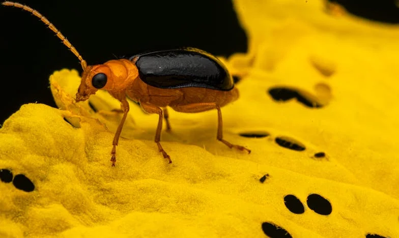 Денят, в който музиката спря: Майчина изповед за битката между поколенията