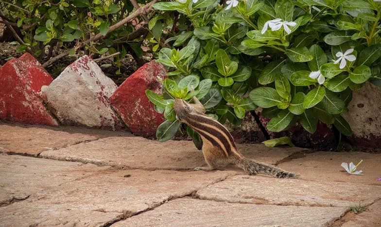 Една къща, разделена на две: Цената на гордостта и предразсъдъците