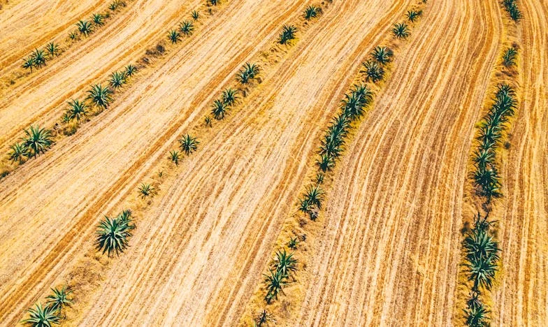 „Извинявай, но от днес и те ще живеят с нас…” – Историята на едно българско семейство за границите и себеотстояването