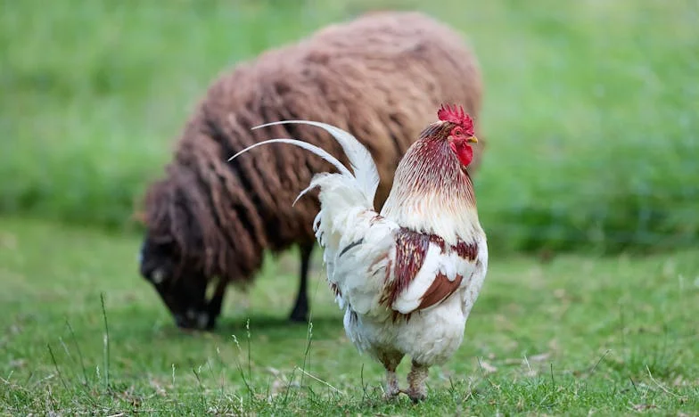 Как спрях свекърва си да идва неканена – и какво ми костваше това