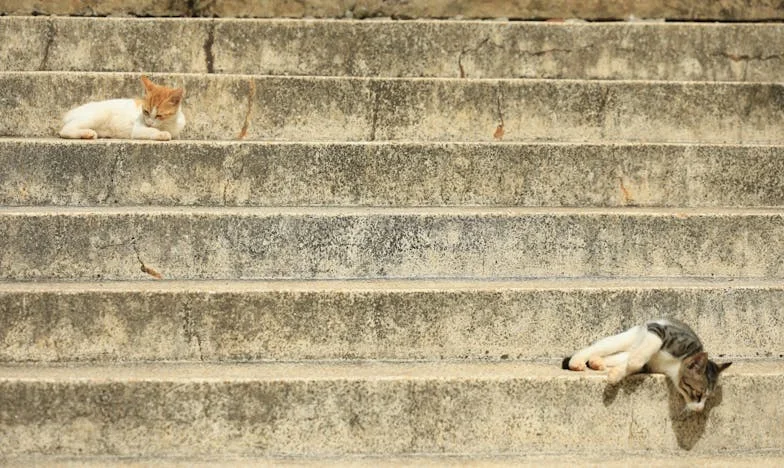 Когато баба Мария дойде у дома: История за любов, вина и избори, които ни променят завинаги