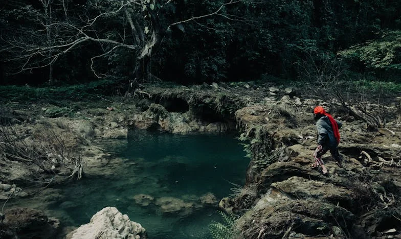 Когато добротата се превръща в капан: Историята на един зет и неговата тъща