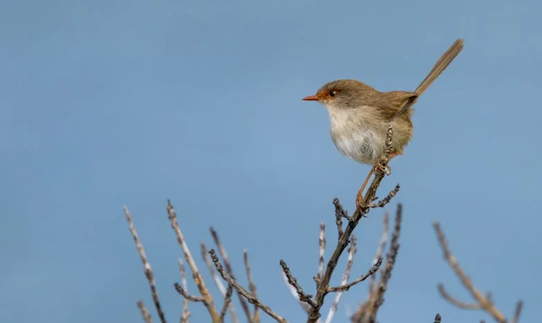Когато любовта се пропука: Историята на едно българско семейство