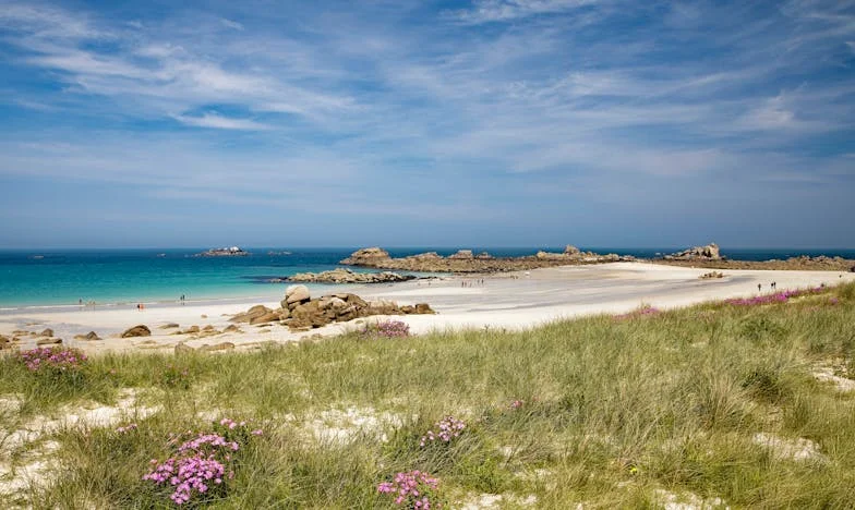 Майка му да е! Защо свекървата ми дава всичко на снаха ми, а на нас само трохи?