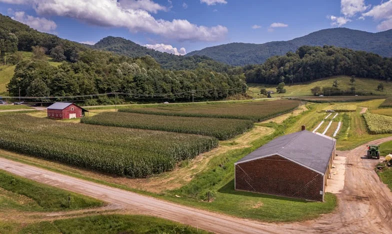 Между два свята: Трябва ли да остана в контакт със свекърите си, след като научих истината?