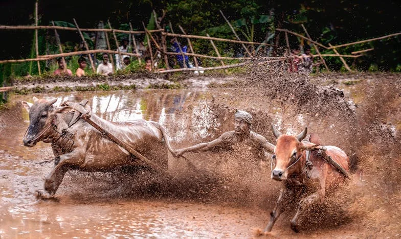Между любовта и предателството: История, която не исках да напиша