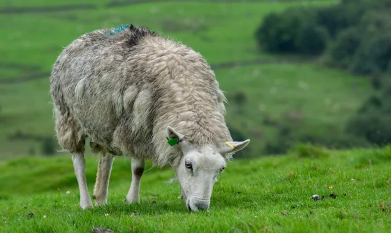Моята фамилия – безкрайна тежест: Как с Димитър се осмелихме да поставим граници и да си върнем живота