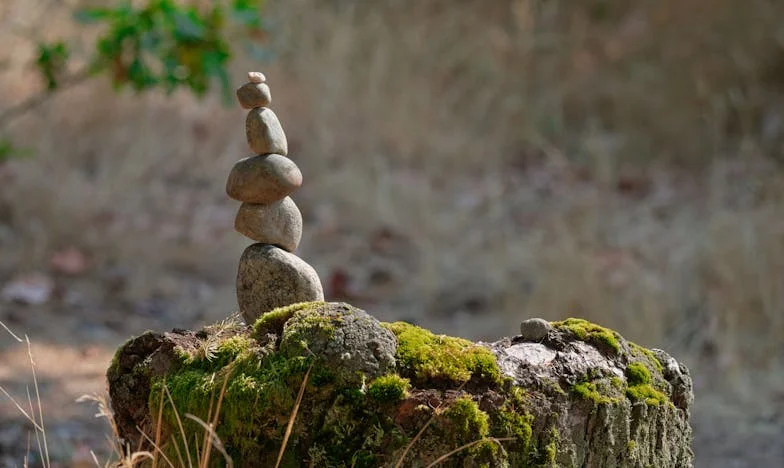 Нощта на бурята: Тайната на майка ми и предателството, което промени всичко
