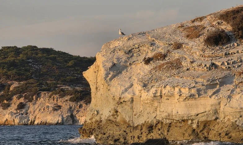 Нощта, в която изгубих и отново намерих София: История за страх, надежда и семейни рани