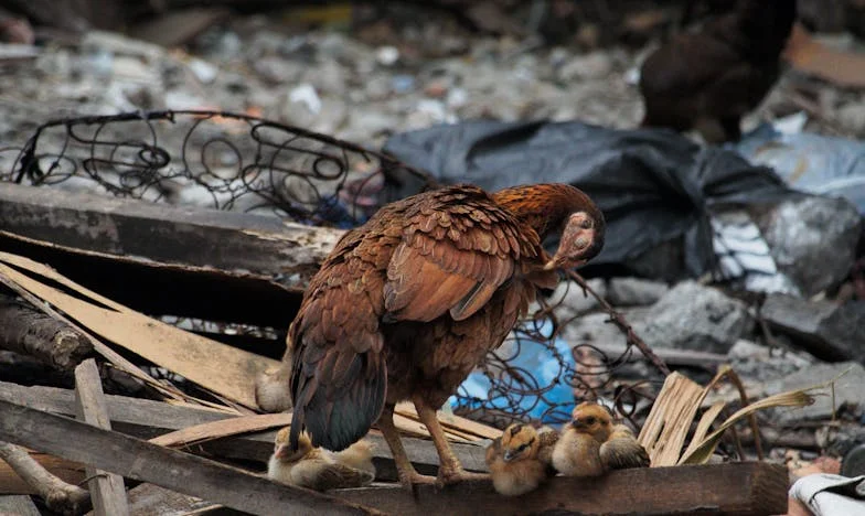 Нощта, в която изгубих Мария: Изповедта на една баба, разкъсвана между вина и прошка