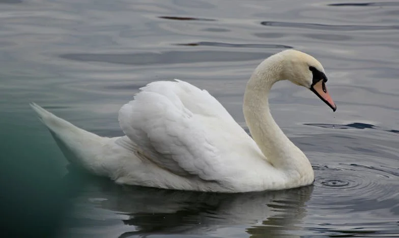 Нощта, в която всичко се срина: Как оцелях след предателството и намерих себе си
