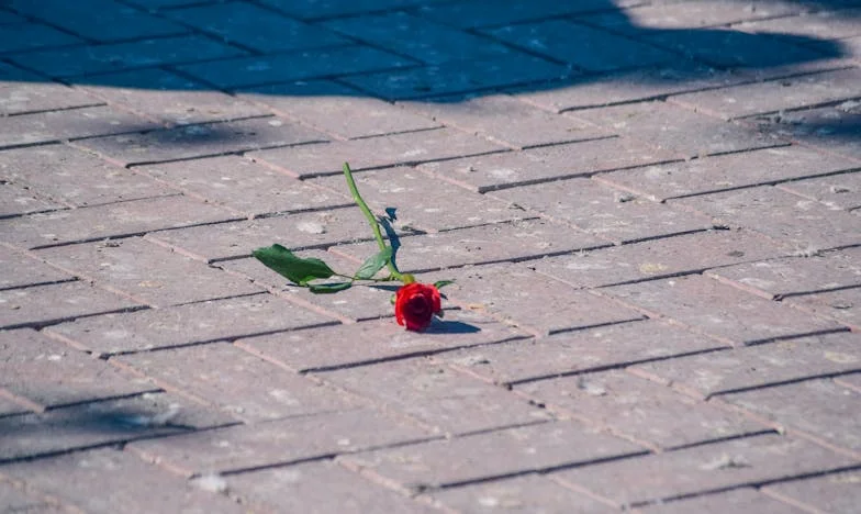 Осемнадесет години кафе и мълчание: Истината, която открих, когато господин Димитров изчезна