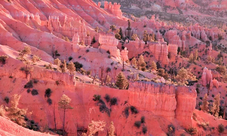 Под един покрив: Моята война със свекървата