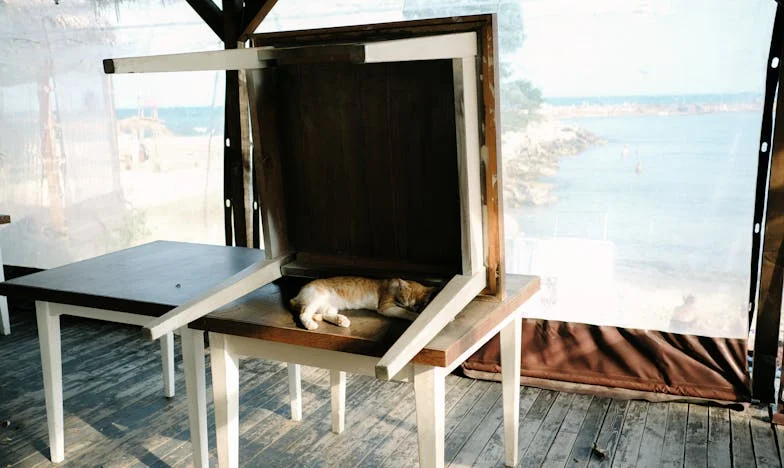 Сърцето ми на ръба: Историята на една майка от Люлин