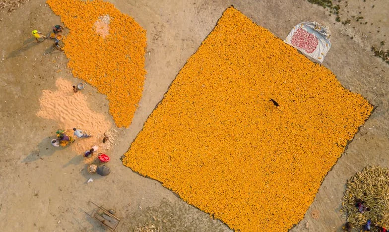 Синът на мъжа ми – една неочаквана истина