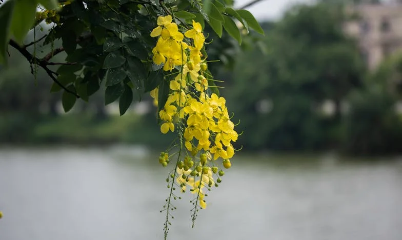 Среща с миналото: Когато първата любов се завърне