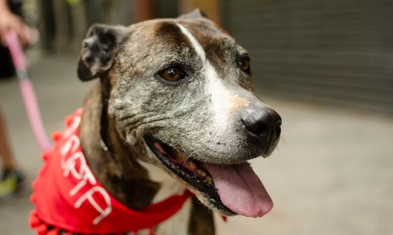 Среща след десет години: Когато грешките оставят белези