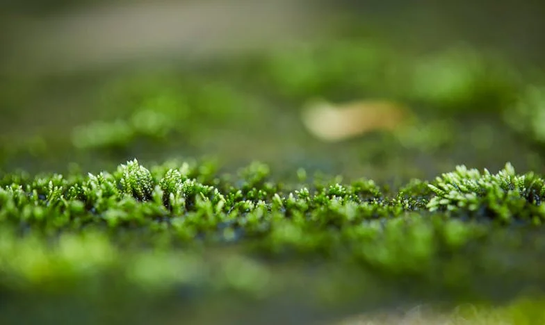 Станах баба на пълен работен ден – и изгубих себе си