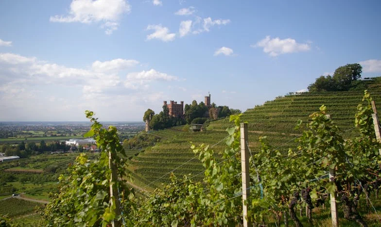 Сянката под покрива от етернит: Историята на едно българско семейство, което почти ме пречупи