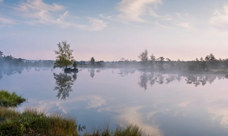 Това не е мъжът, за когото се омъжих: Как недоволството на съпруга ми разрушава нашето семейство