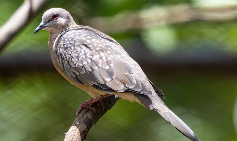 Вяра, молитва и дом: Как спасихме нашето семейство от разпад