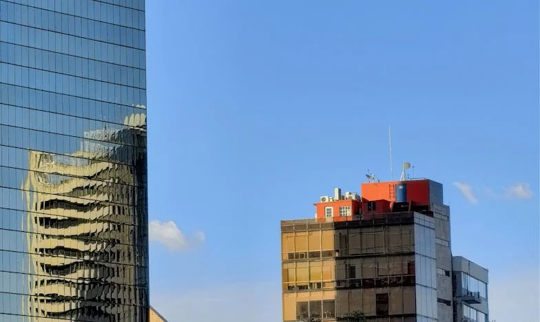 Черната овца в семейството: Изповедта на една пренебрегната сестра