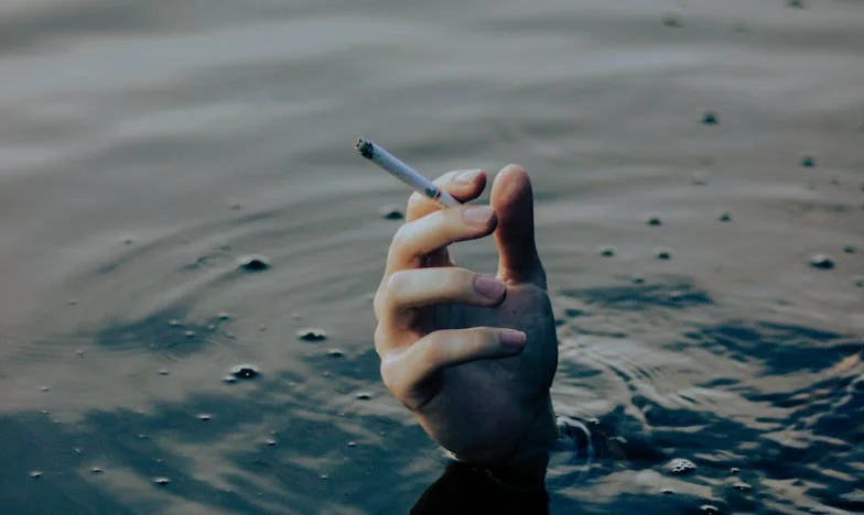 Чуждото минало, моята рана: История за неочаквано прошка