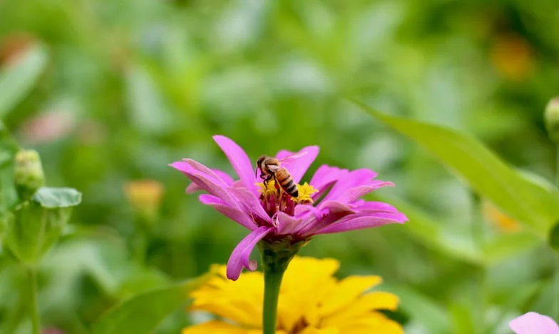 Цената на спестяването: Историята на едно изгубено детство