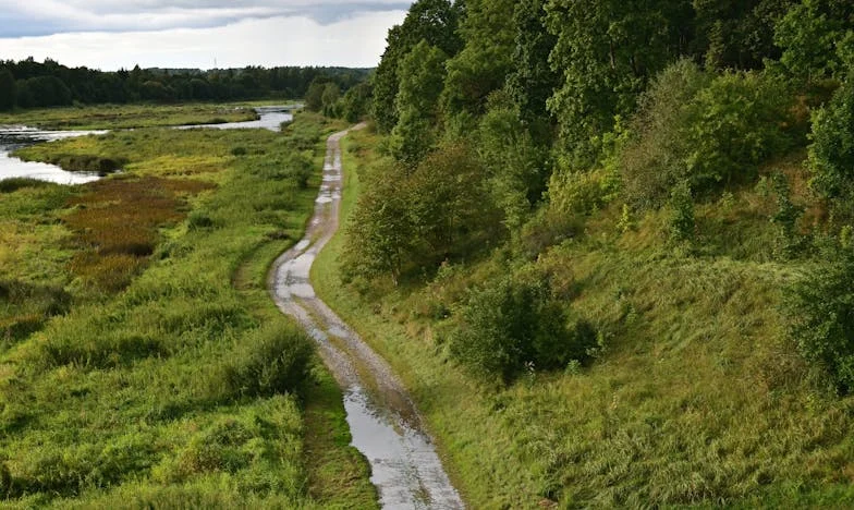 Денят, в който разбрах, че повече не мога да мълча: История за майка, дъщеря и границите на любовта
