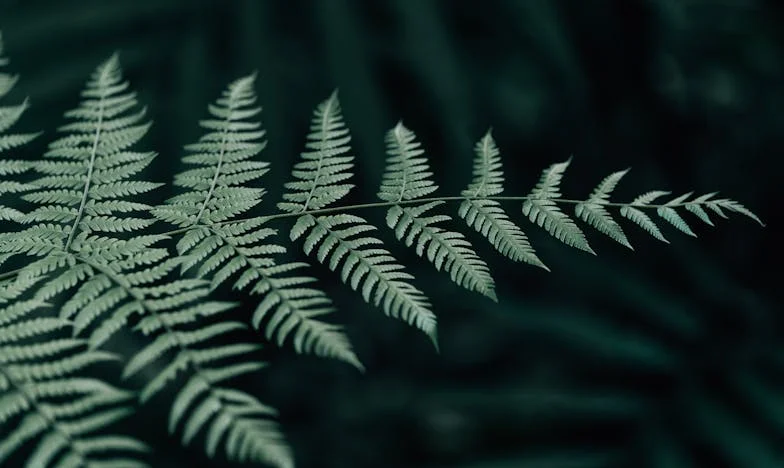 Една нощ в районното: Когато майчината тревога преобърна живота ми