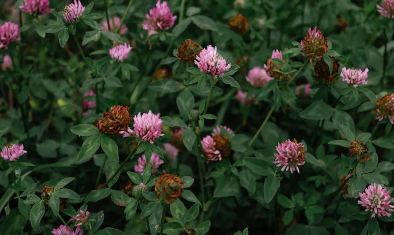 Когато любовта се превърне в окови: Историята на едно бягство