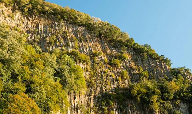 Когато Мартин ми се обади да се оплаче, вече бях взела решението си