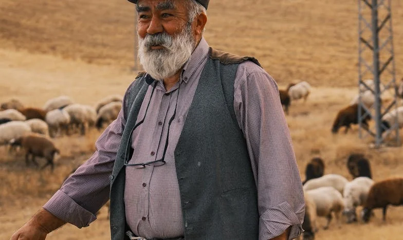 Когато парите станаха оръжие: Историята на една българска снаха