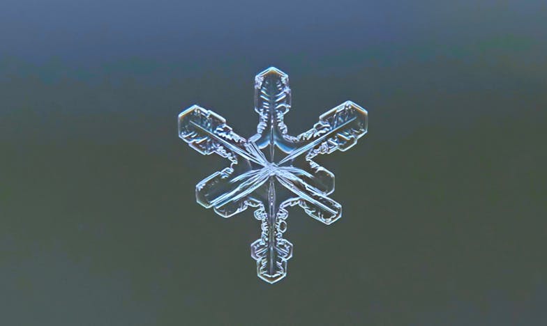 Когато щастието разедини семейството: Историята на една неочаквана дъщеря