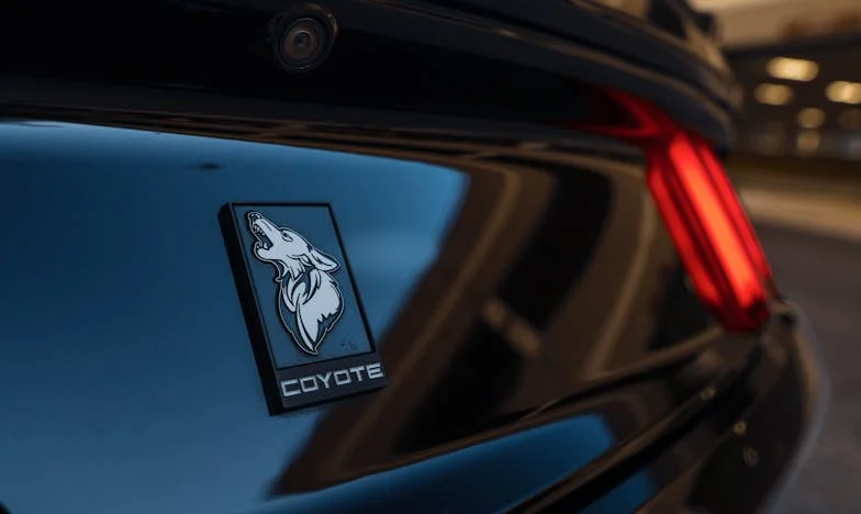 Когато животът ти разкрие чуждите тайни: История за дългове, предателство и неочаквана ръка за помощ