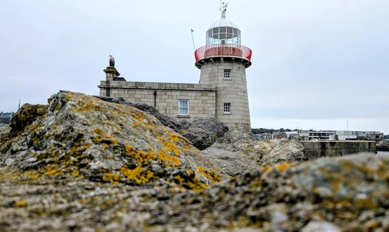 Майчина смелост: Роден с теб
