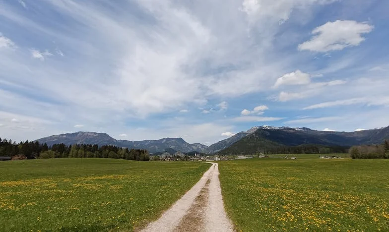 Между два дома: История за правото на покрив над главата