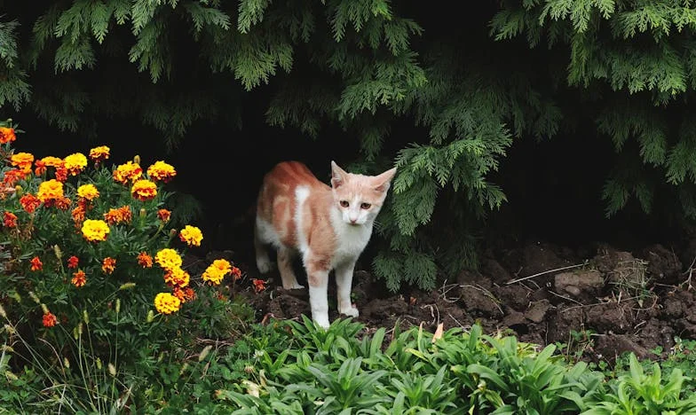 Между два свята: Да простя ли на свекърите си след истината?