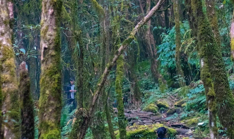 Между ламарина и кръв: Семейство на ръба
