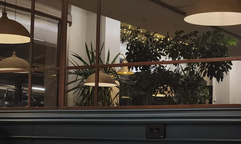 Мислех, че съм приета в семейството на мъжа ми – но колко много съм се лъгала