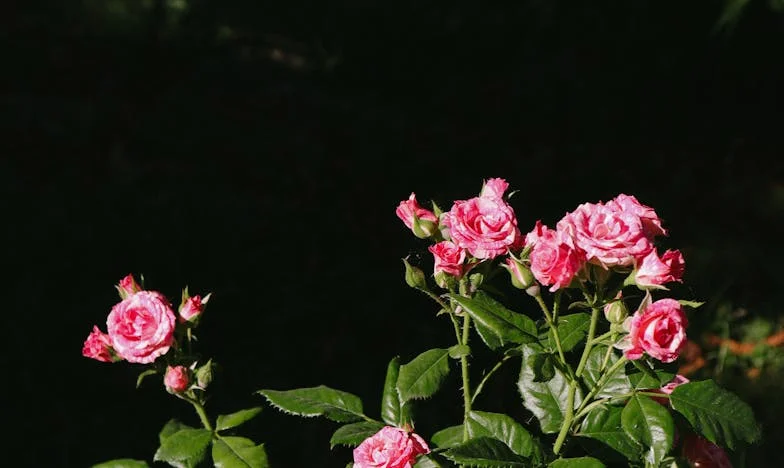 Не съм бавачка, не съм и домашна помощница: Историята на една българска баба, която поиска да си върне живота