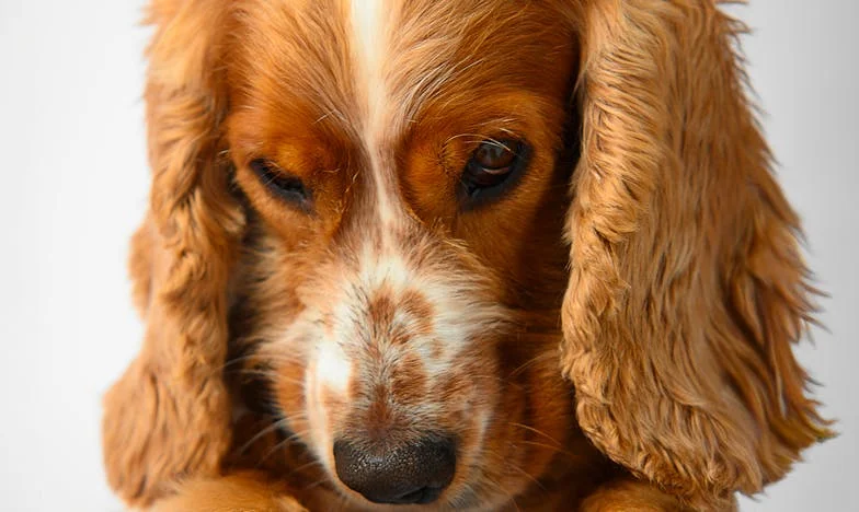 Под повърхността: Историята на Ана и сенките на брака