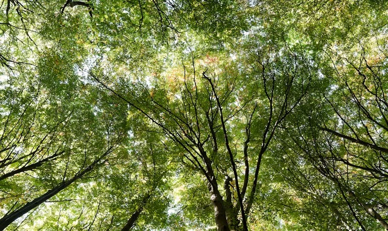 Последният лъч светлина: Как се сбогувахме с нашата дъщеря в сълзи и надежда