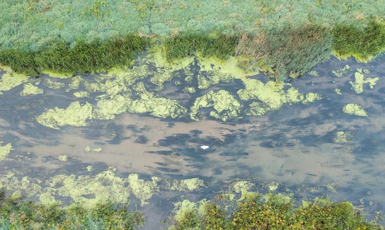 Съмнението, което разруши дома ми: Историята на една майка от Пловдив