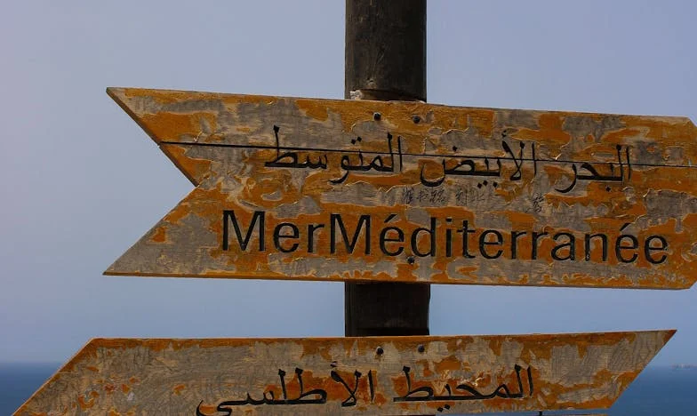 Само аз мога да ги удържа: Историята на една майка в българската действителност