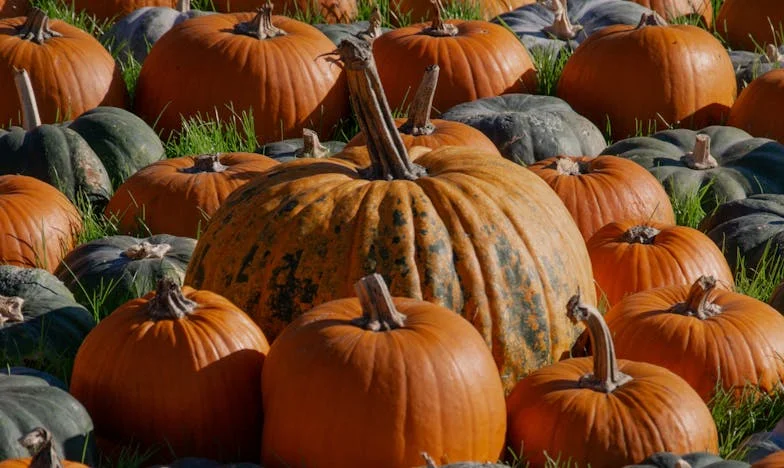 Тайният живот на госпожа Мария: Буря в детската градина