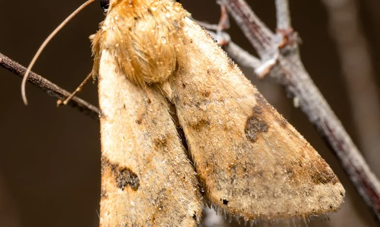 Завещанието, което разби семейството ми: Истината за едно скрито минало